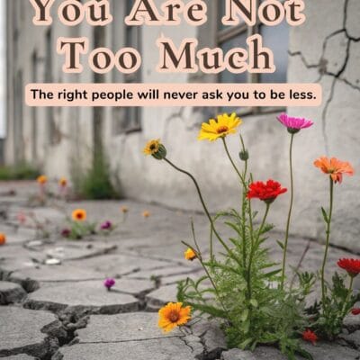 You Are Not Too Much