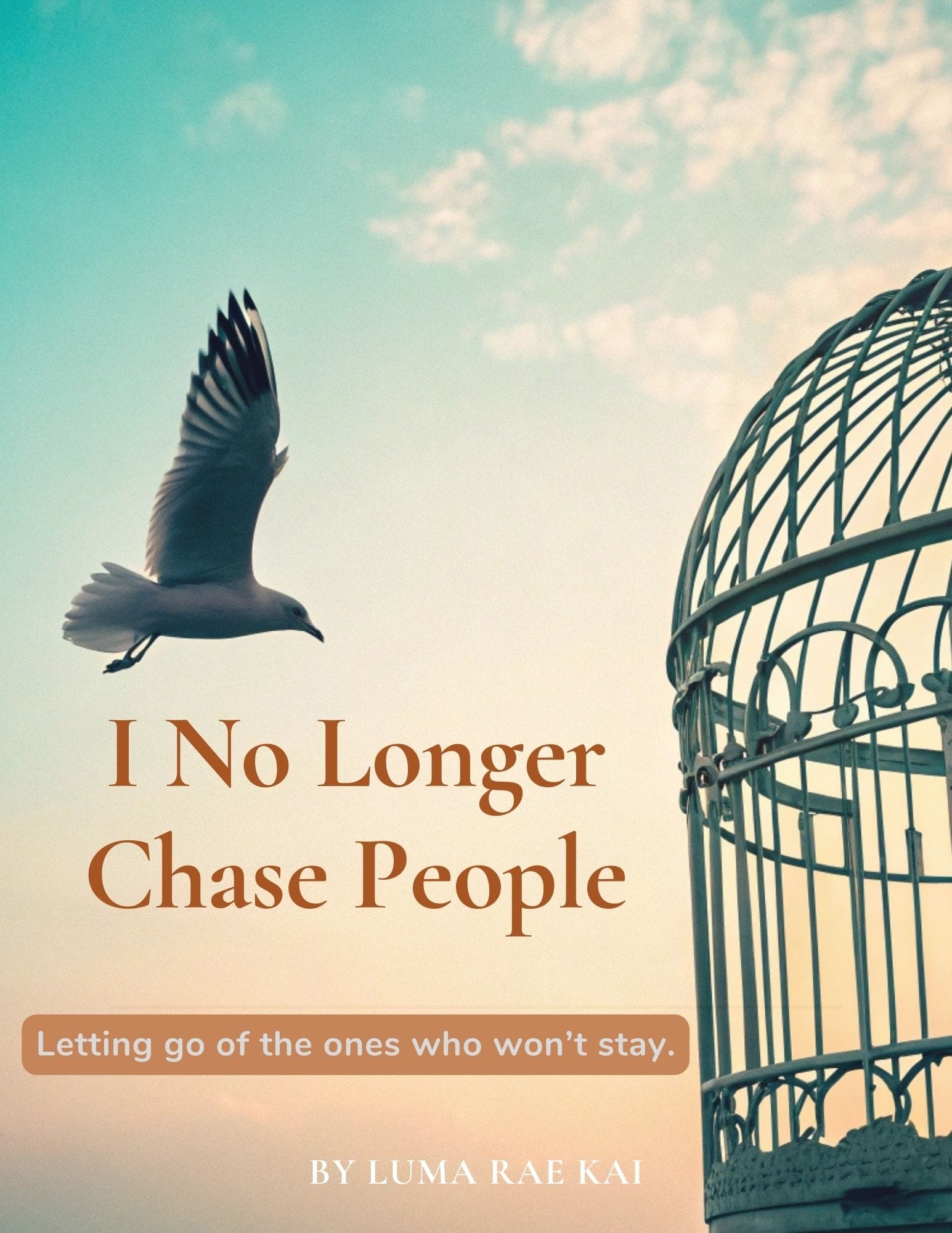 I No Longer Chase People